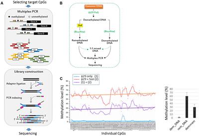 Simultaneous Methylation-Level Assessment of Hundreds of CpG Sites by Targeted Bisulfite PCR Sequencing (TBPseq)